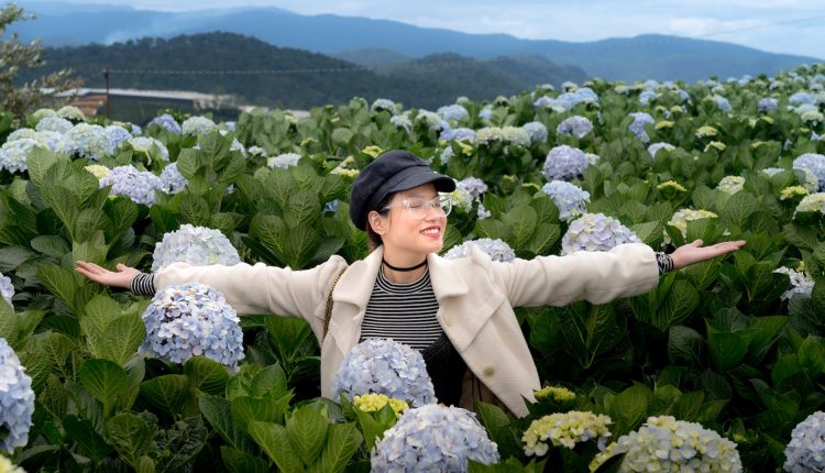 cicek bahcesi bakimi renkli ve canli cicekler icin adimlar